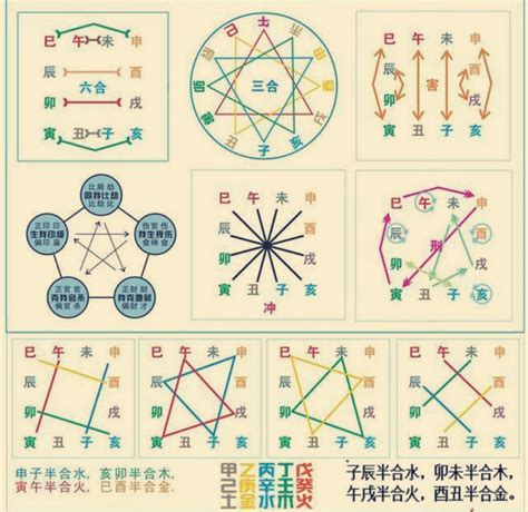 地支合冲|十二地支生、克、刑、冲、合、化的关系